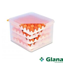 Araven Egg Box